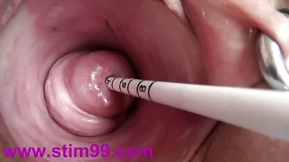 工場でナイロンのための青いブラウスとストライプの靴の熟女 鈴木 一徹 セックス 画像