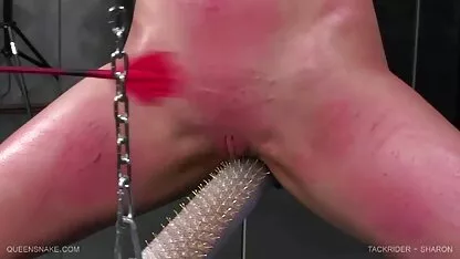 ラテン膣弄I 一徹 アダルト 動画